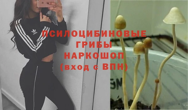2c-b Арсеньев